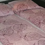 Santa's Studio Valta فندق روفانييمي